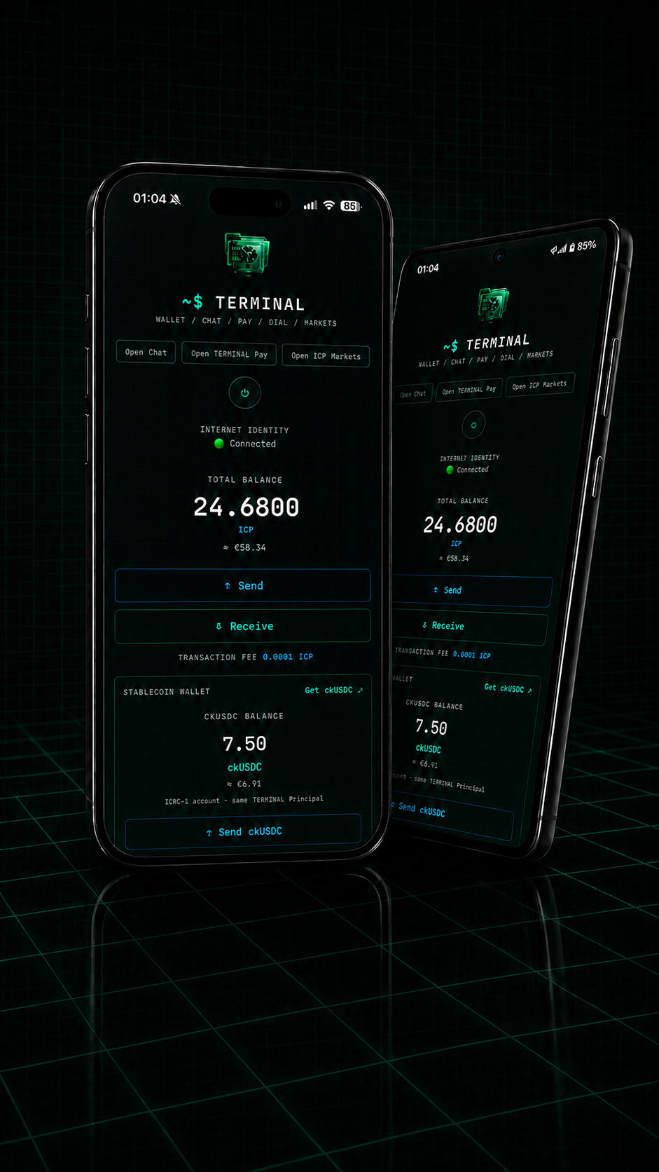 TERMINAL Wallet interface with ICP and ckUSDC